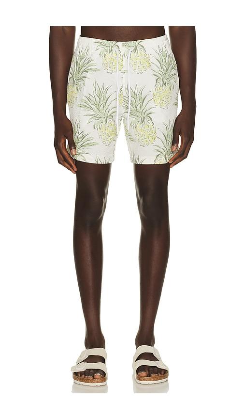 Trunks Surf & Swim Co. Sano 6.5 Swim Short in Green,White by TRUNKS SURF&SWIM CO.