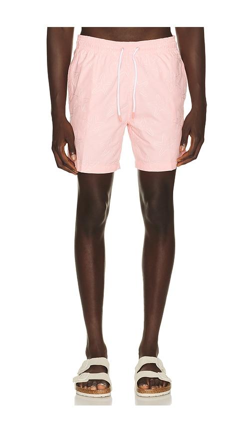 Trunks Surf & Swim Co. Sano 6.5 Swim Short in Pink by TRUNKS SURF&SWIM CO.