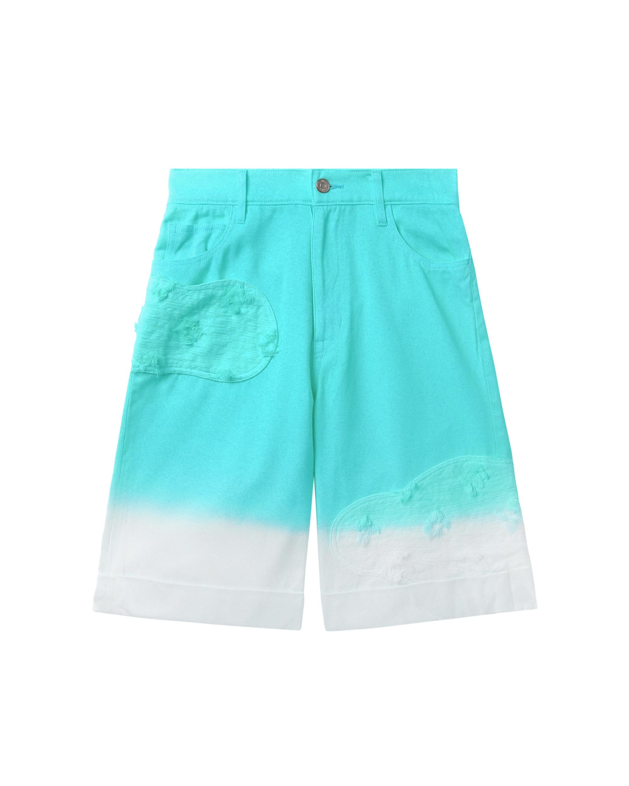 Embroidered shorts by TSUMORI CHISATO