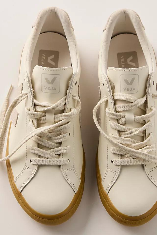 Veja Esplar Sneakers by VEJA | FREE PEOPLE