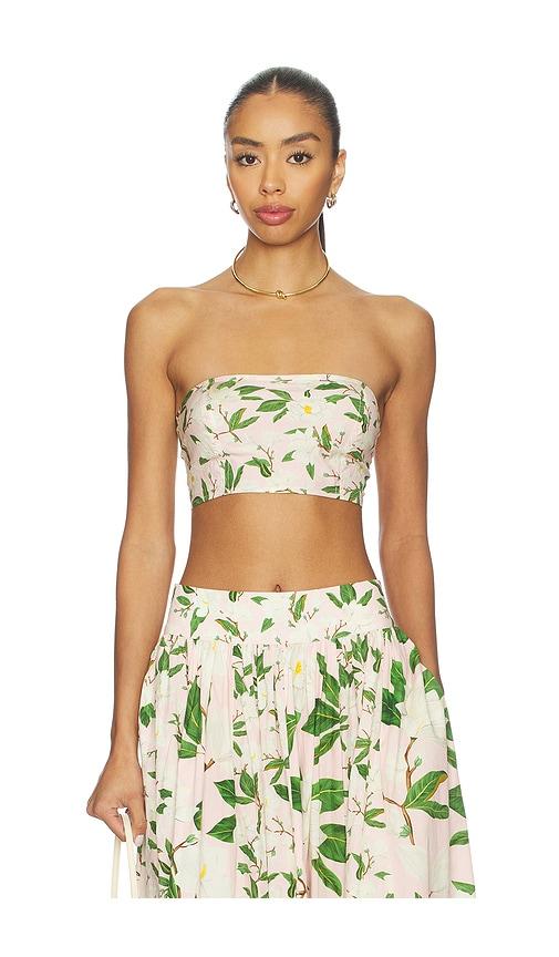 Verandah Bandeau in Pink by VERANDAH