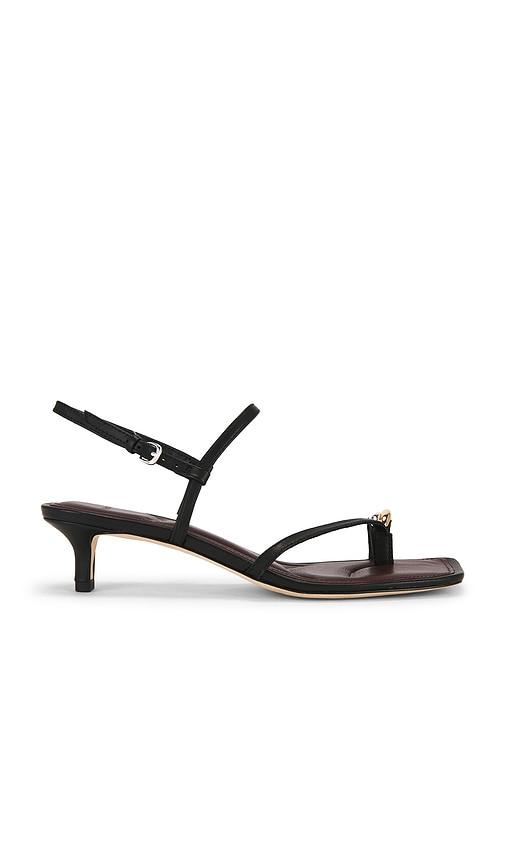 Vince Polli Kitten Heel in Black by VINCE