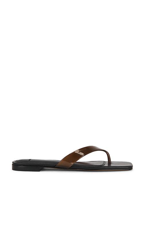 Vince San Juan Thong Sandal in Brown by VINCE