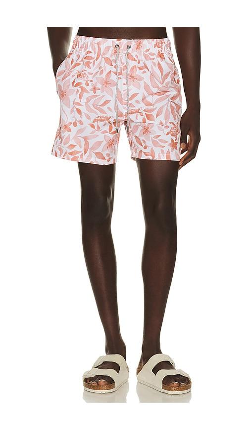 Vintage Summer 4 Way Stretch Volleys in Orange by VINTAGE SUMMER