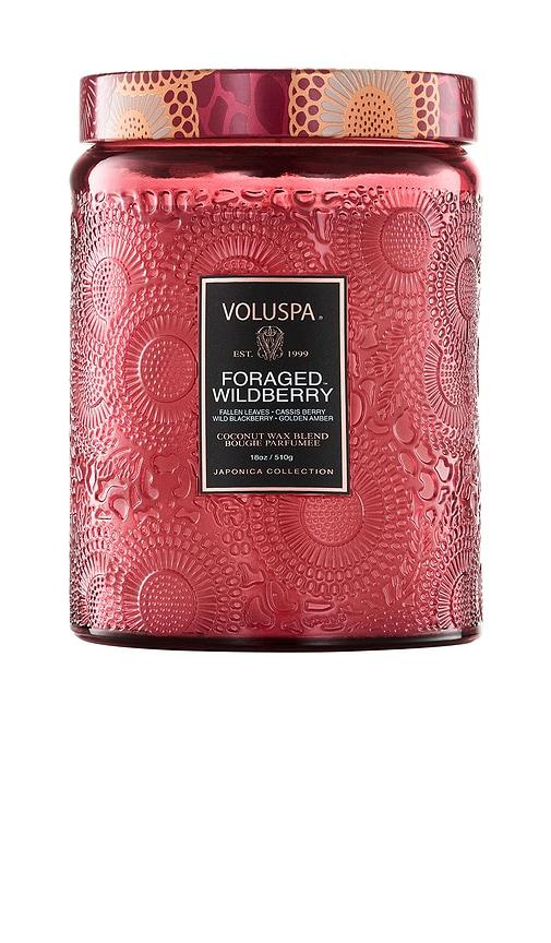 Voluspa Foraged Wildberry Large Jar in Beauty by VOLUSPA