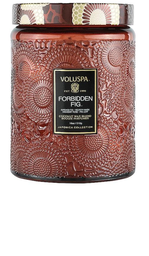 Voluspa Forbidden Fig Large Jar Candle in Wine by VOLUSPA