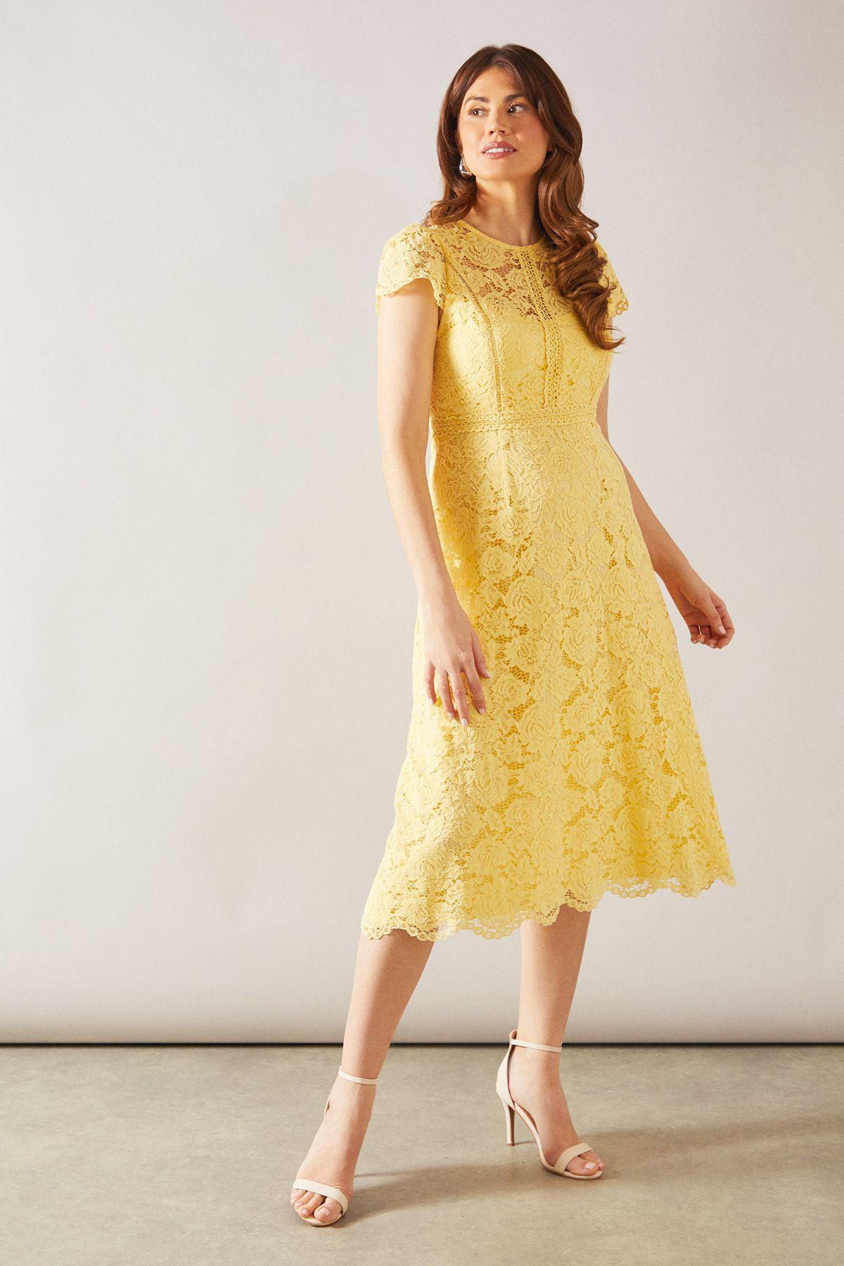 Lace Fit And Flare Midi Dress by WALLIS