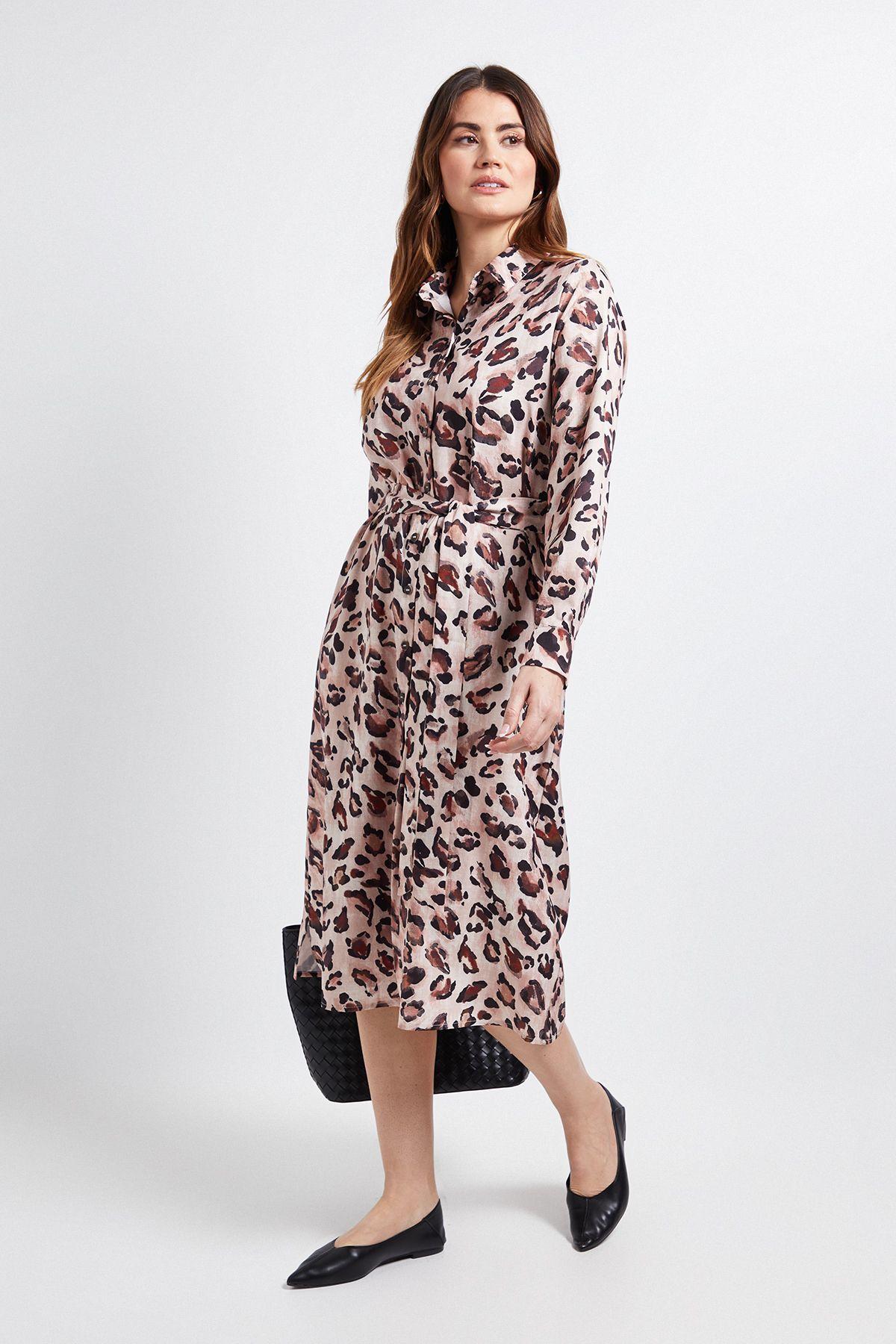 Leopard Collared Button Through Shirt Dress by WALLIS