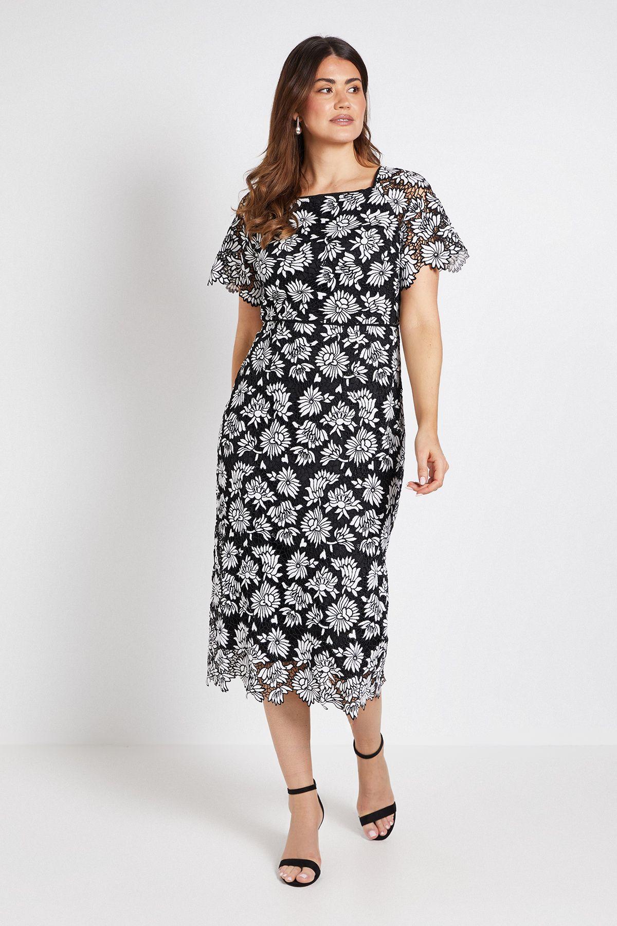 Mono Lace Pencil Dress by WALLIS