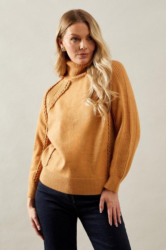 Whipstitch Detail Roll Neck Jumper by WALLIS