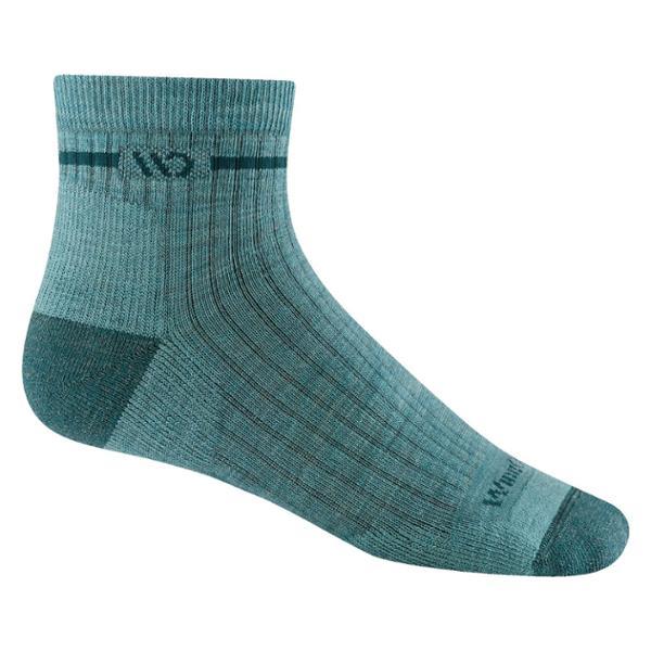 Single Stripe Cushioned Quarter Socks by WIDE OPEN