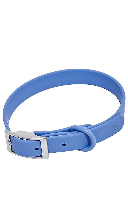 Wild One Extra Large Collar in Blue by WILD ONE