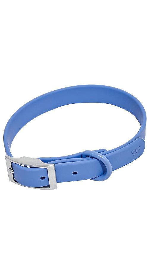 Wild One Extra Small Collar in Blue by WILD ONE