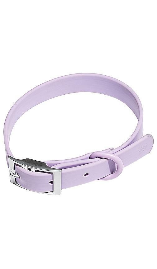 Wild One Extra Small Collar in Lavender by WILD ONE