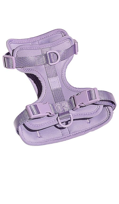 Wild One Harness in Lavender by WILD ONE