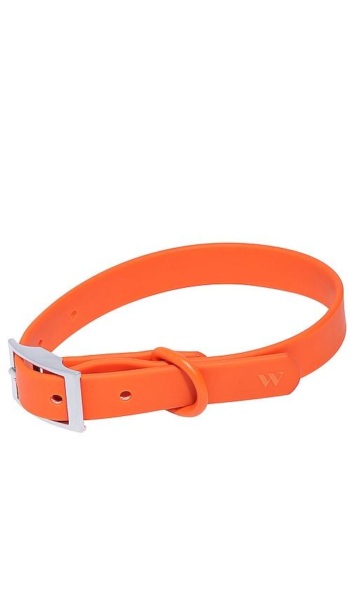 Wild One x REVOLVE Collar in Burnt Orange by WILD ONE