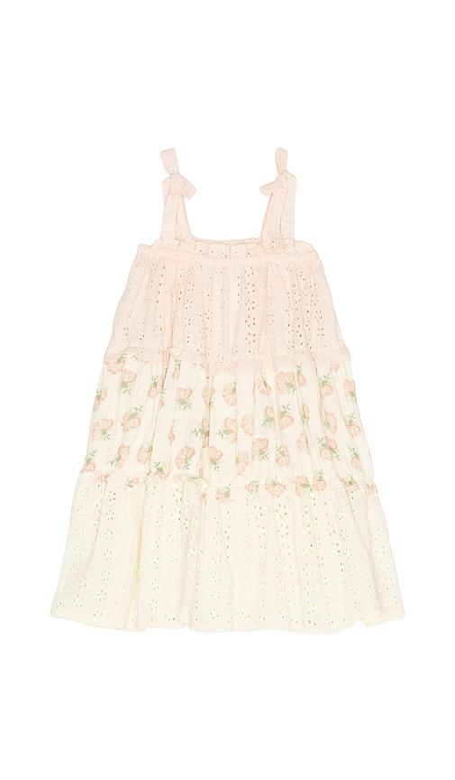 Wild Wawa Amber Dress in Blush by WILD WAWA