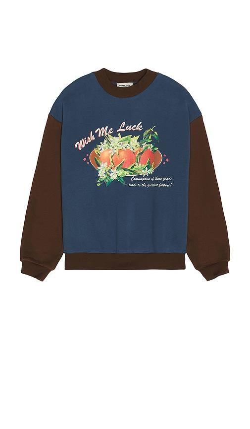 Wish Me Luck Greatest Fortune Crewneck Sweater in Blue,Brown by WISH ME LUCK