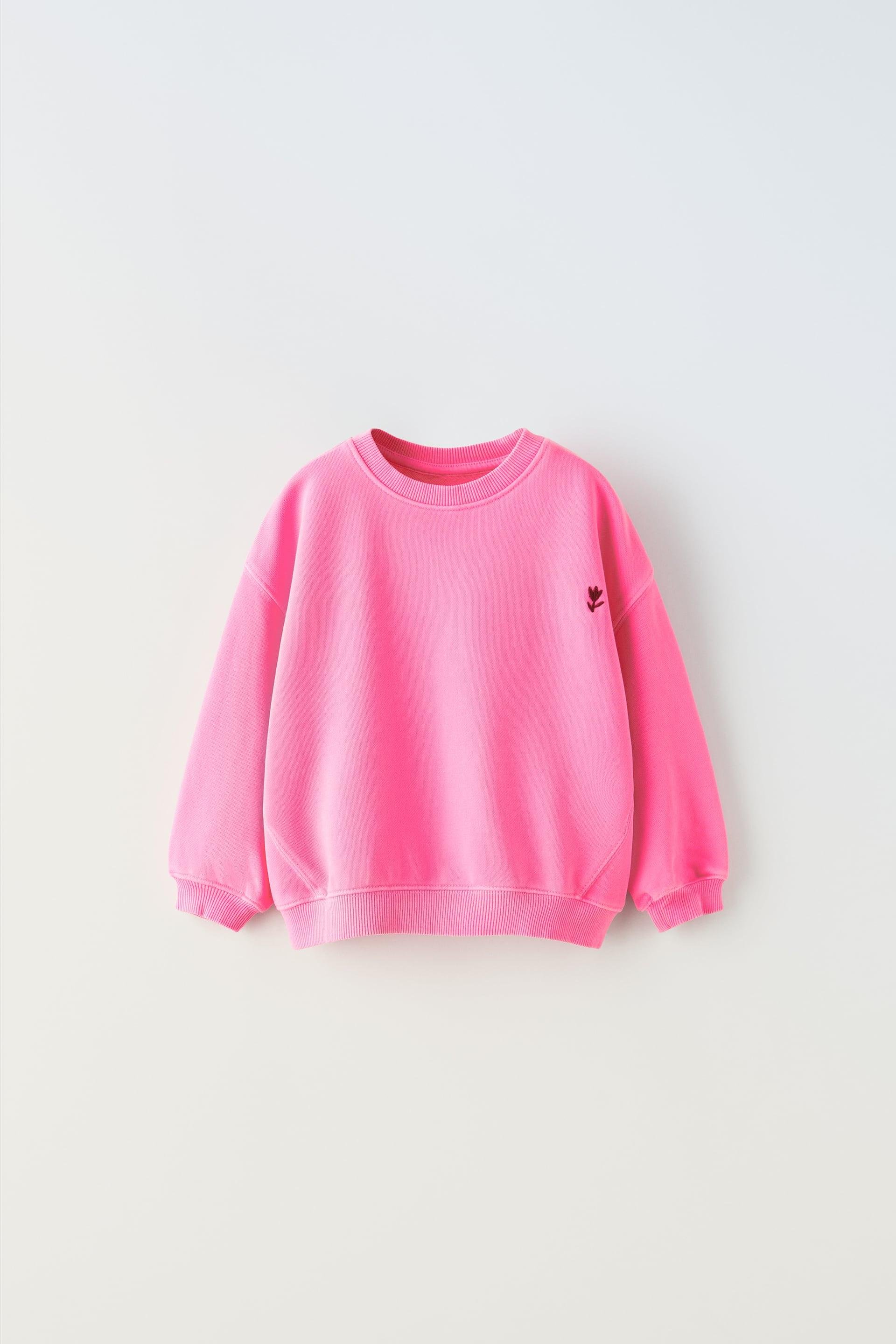 EMBROIDERED GARMENT DYED SWEAT-SHIRT by ZARA