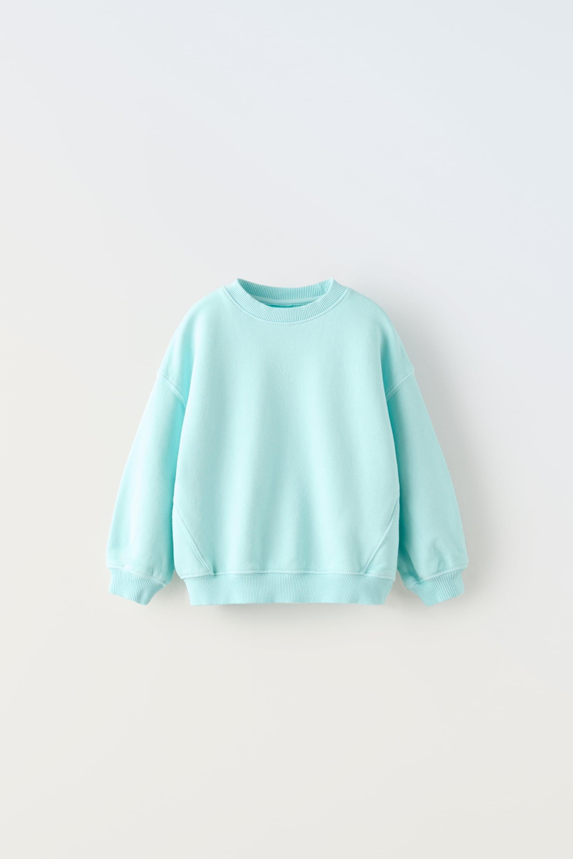 EMBROIDERED GARMENT DYED SWEAT-SHIRT by ZARA