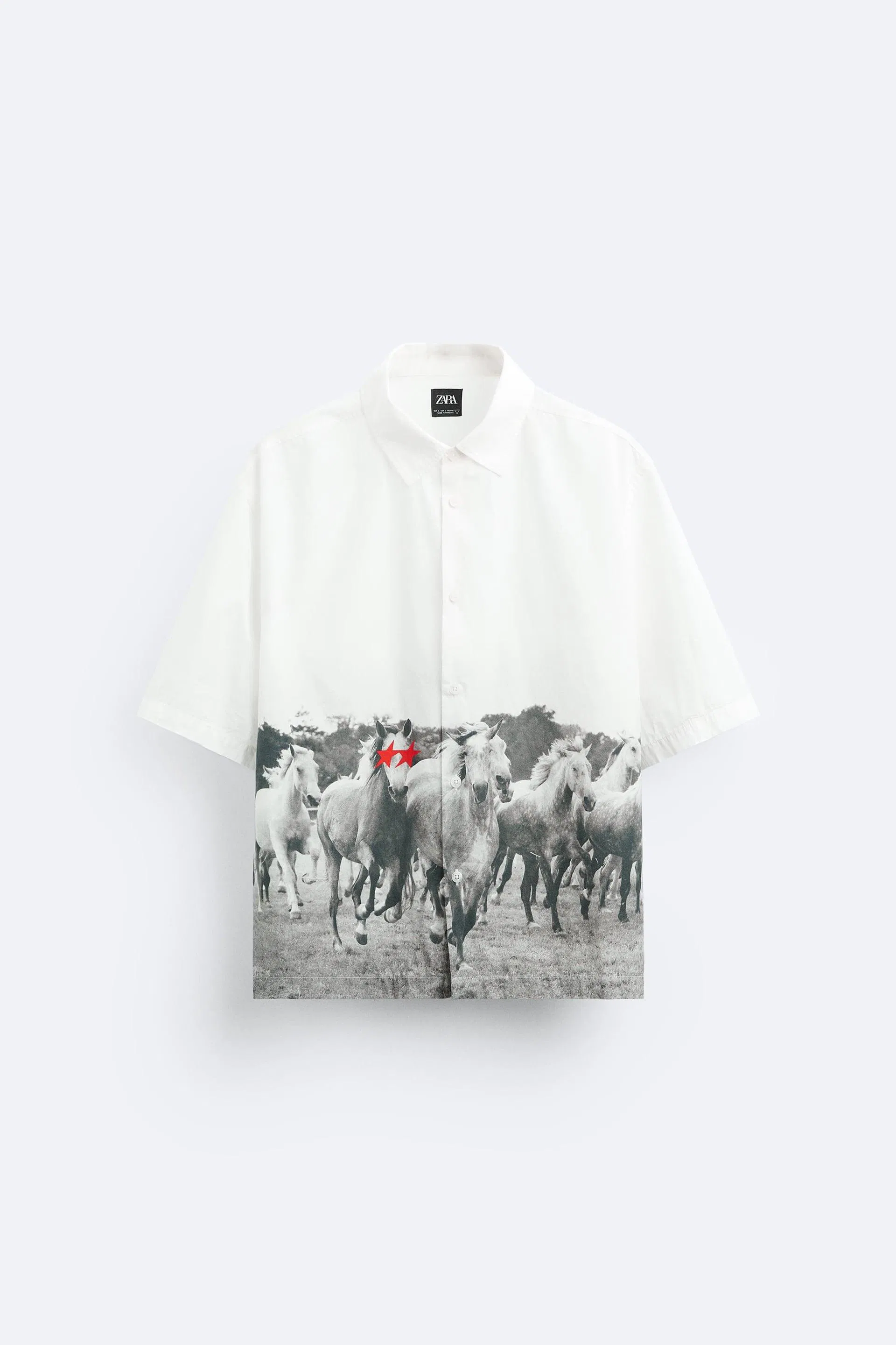 HORSES SHIRT X TWOJEYS LIMITED EDITION by ZARA | jellibeans HORSES SHIRT X TWOJEYS LIMITED EDITION by ZARA | jellibeans