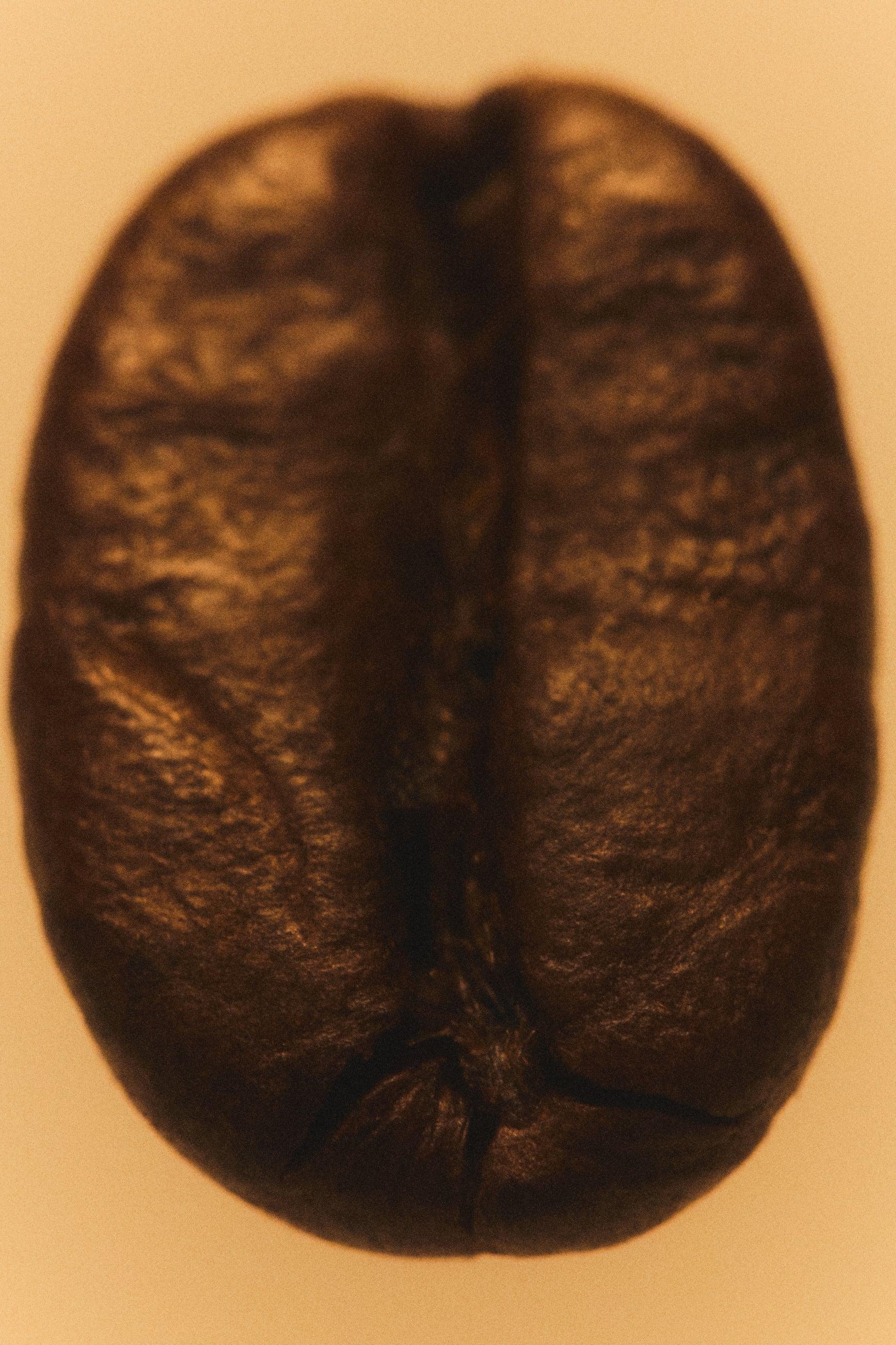 WO/03 CAFÈ ET CÈDRE 100 ML by ZARA