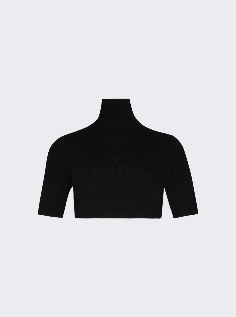 Cropped Turtleneck Knit Top Black  | The Webster by ZEYNEP ARCAY