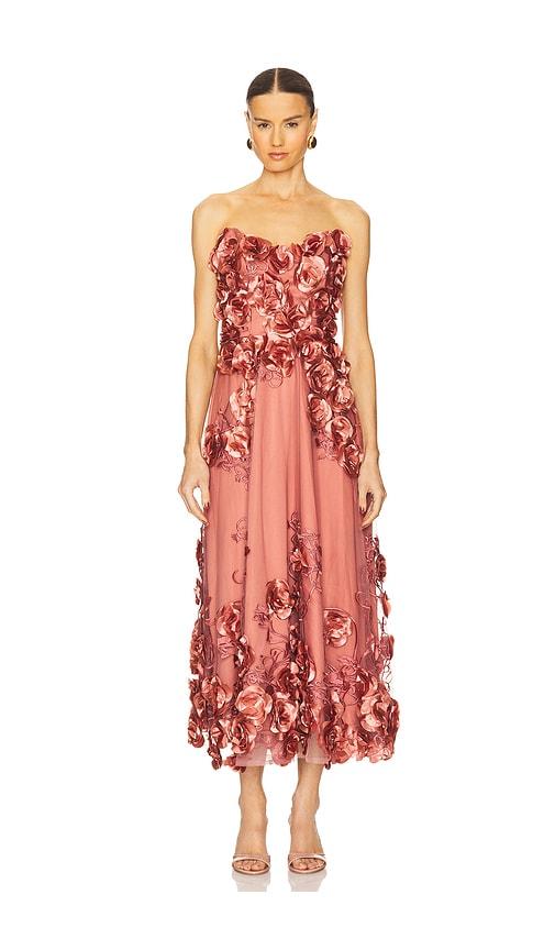 Zhivago Aonia Dress in Rose by ZHIVAGO