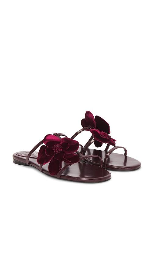 Zimmermann Orchid Slide in Wine by ZIMMERMANN